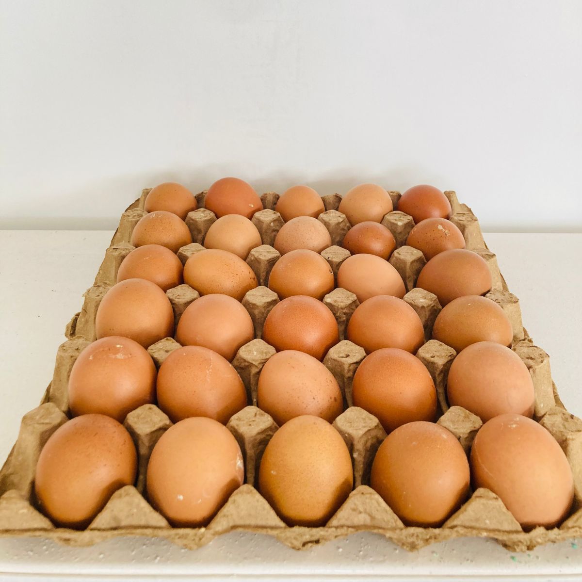 Cartão de ovo nacional